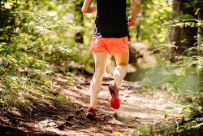 Our Guide To The Top Running Trails In The Smoky Mountains